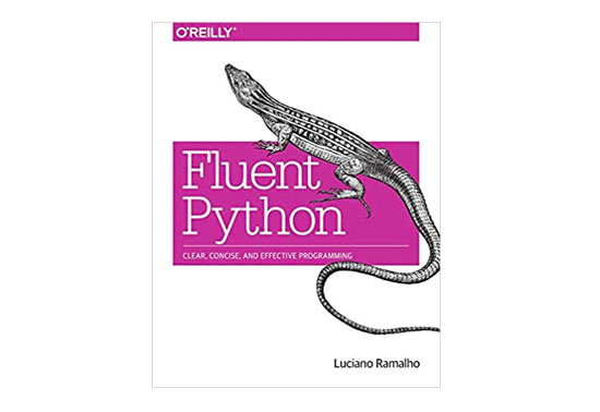 Fluent Python Best Books To Learn Python rezourze.com