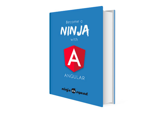 Become a ninja with Angular Awesome Book