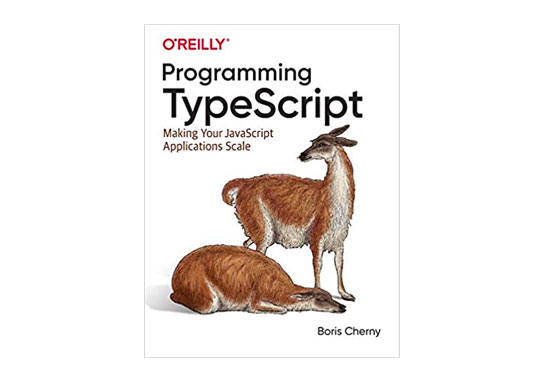 Programming TypeScript Angular Books