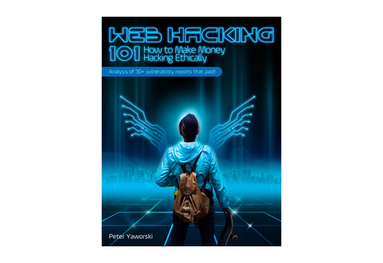 Web Hacking 101