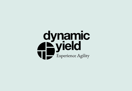Dynamic Yield A/B Testing Tool